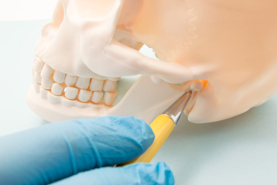 Closeup of a dentist pointing to the TMJ that connects the lower jaw, mandible, to the temporal bone of the skull